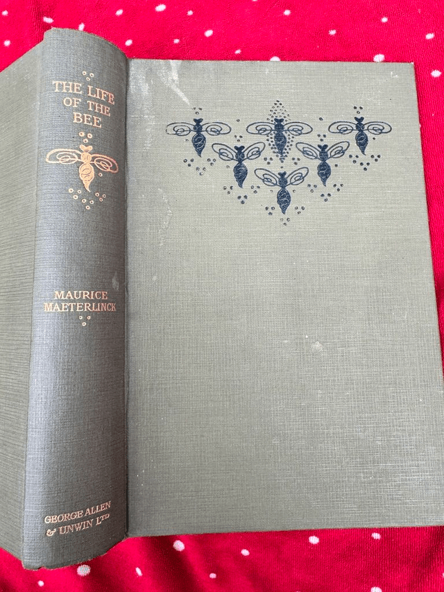 The Life of the Bee