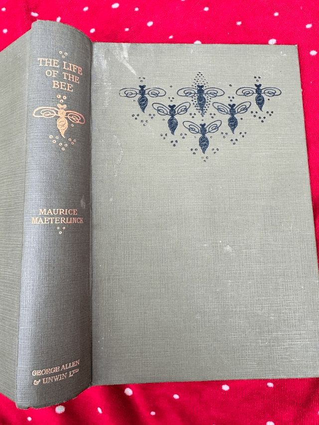 The Life of the Bee