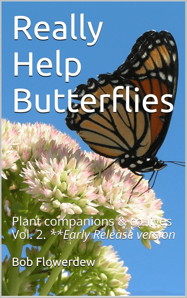 03 Really Help Butterflies
