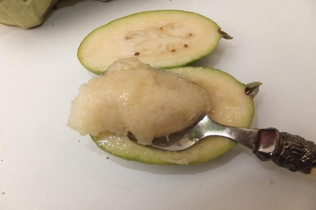 Fruit salad, Pineapple guava, Feijoa / Acca sellowianaSeeds